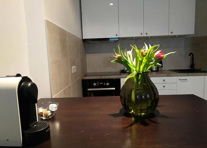 Apartament Vangogh By Mythings *